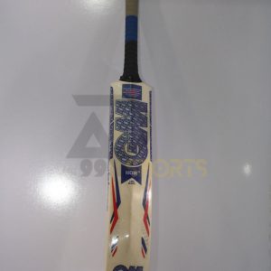 Hard-Ball-Blue-Edition-Cricket-Bat-GM-Blue-Edition