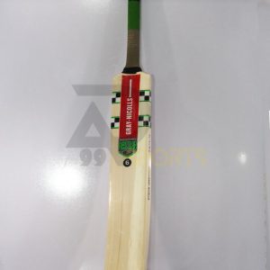 Premium-Gray-Nicolls-Hard-Ball-Cricket-Bat