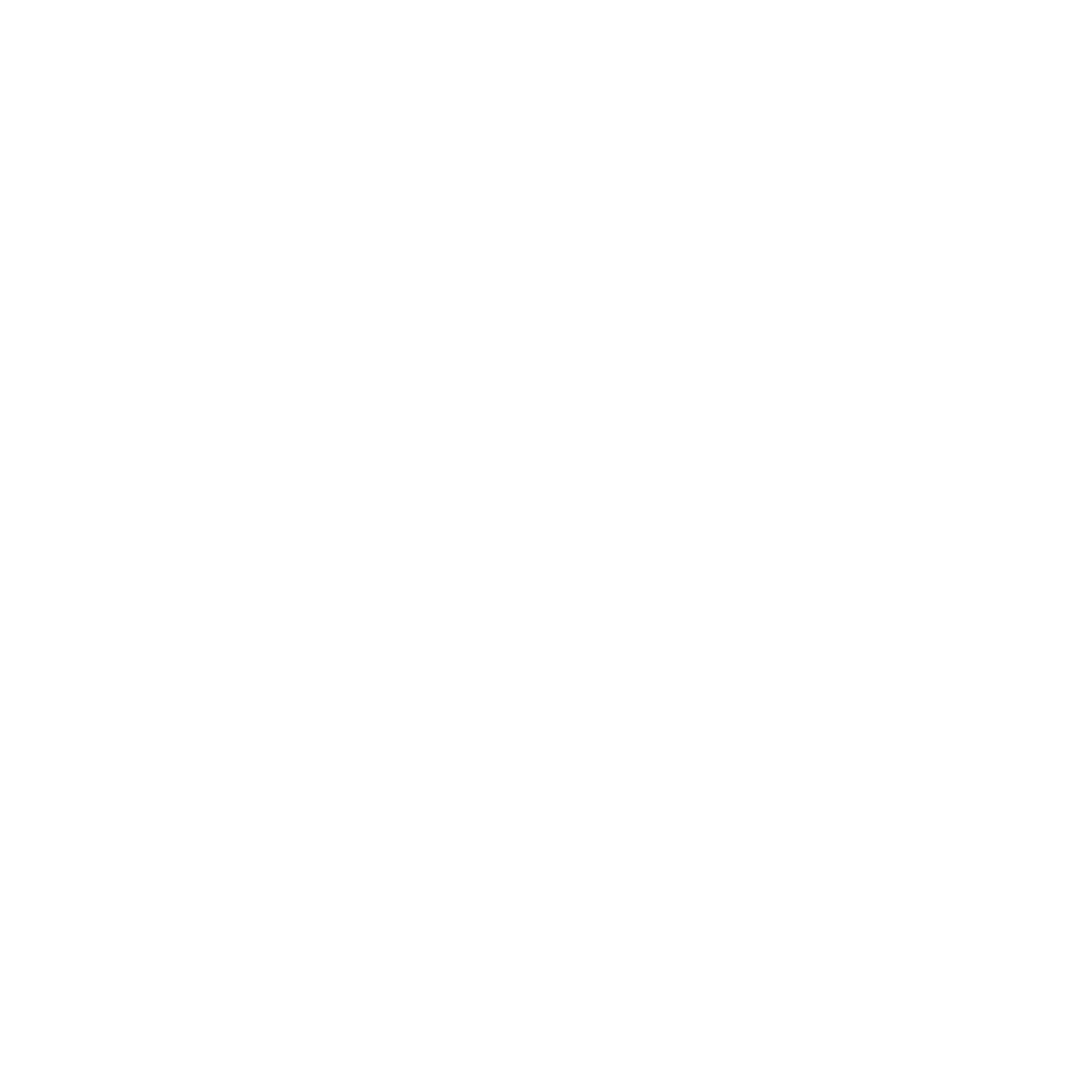 logo ar white
