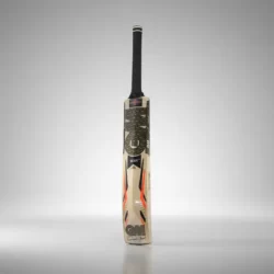 Kashmir Willow Cricket Bat
