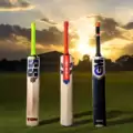5 Essential Factors to Check Before Buying Your Next Cricket Bat