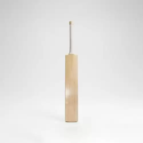 AR Sports English Willow Cricket Bat – 98 Edition standing upright against a clean white studio background. The bat has a light natural wood blade with subtle vertical grain patterns, a long white textured grip on the handle, and a plain front face with minimal visible branding or graphics. Its straight, traditional cricket-bat profile and smooth natural wood finish are clearly visible, with soft studio lighting creating a gentle shadow and reflection beneath the bat. The image showcases the AR Sports English Willow Cricket Bat – 98 Edition, available in Pakistan.